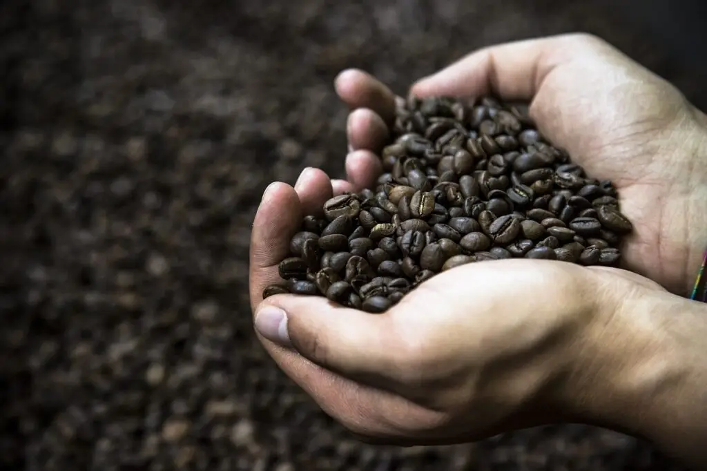 coffe, marketing, coffee-4202577.jpg